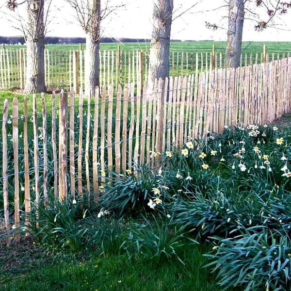 Chestnut Pale Fencing Two Wire