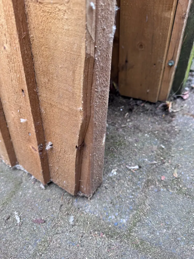 17 Chart Featheredge Garden Gate 975mm Wide x 1330mm High Clearance