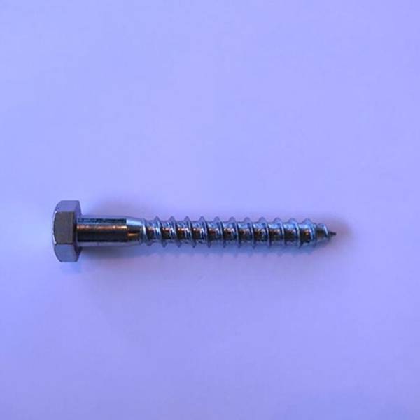 Exterior Coach Screws M