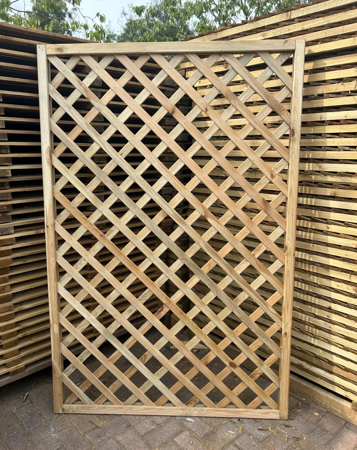 Diamond Trellis Larger Style