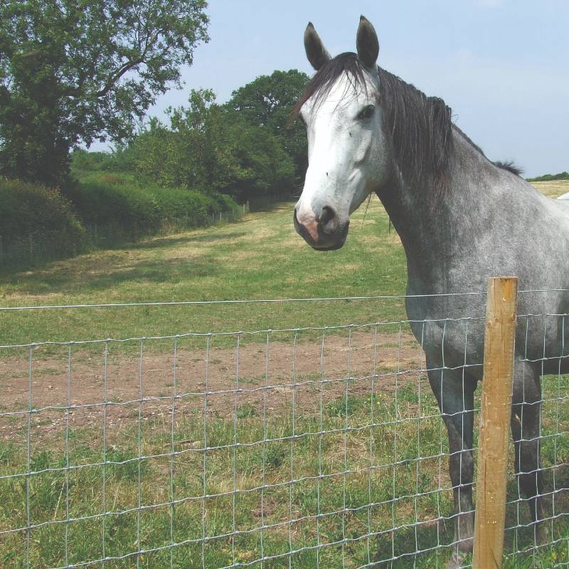 Classic Stock and Horse Wire Fencing